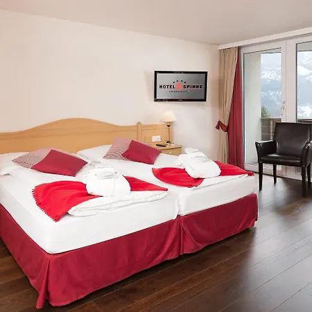 Spinne 4* Grindelwald