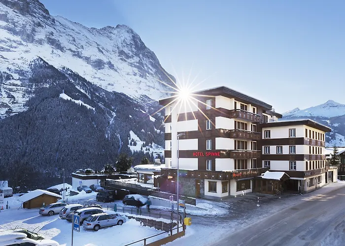 Spinne Hotel Grindelwald