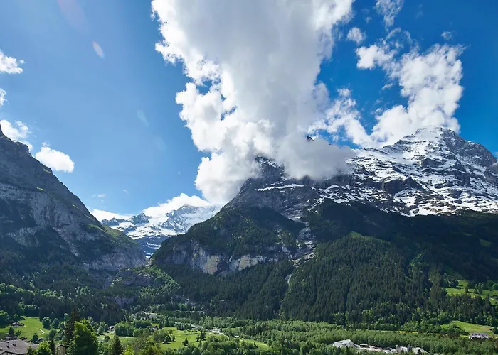 Spinne Hotel Grindelwald