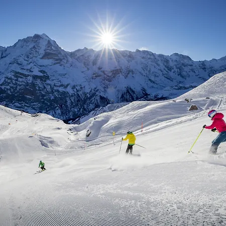 Hotel Spinne Grindelwald