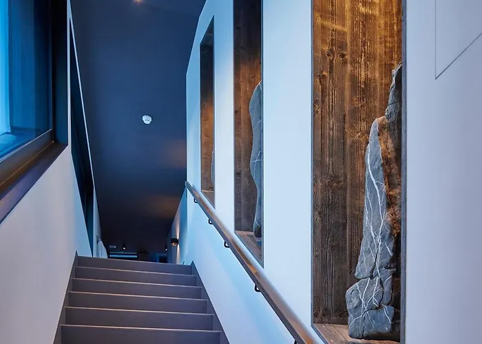 Spinne Hotel Grindelwald